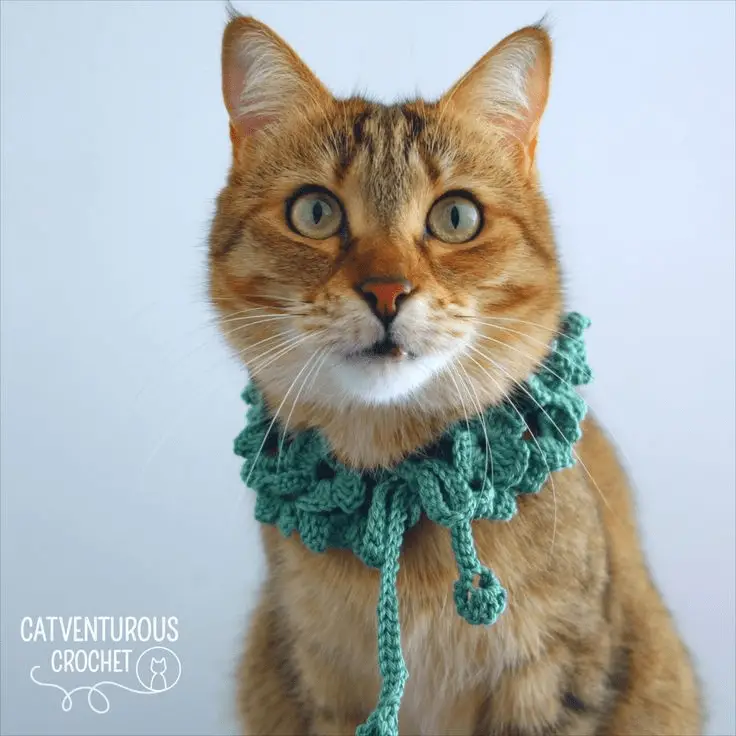 crochet cat wreath collar tutorial