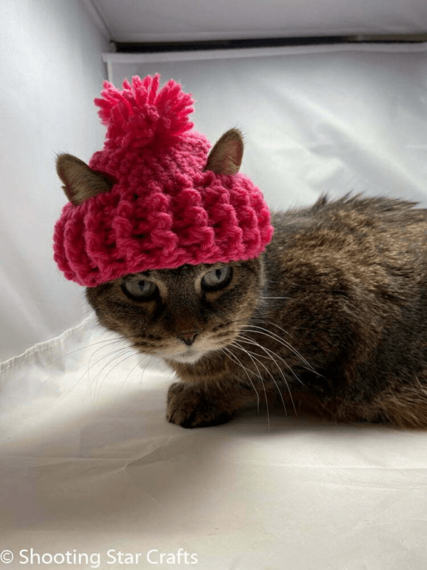 Crochet Cat Hat Pattern ( SitnCrochet 2024