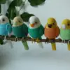 crochet parrot pattern