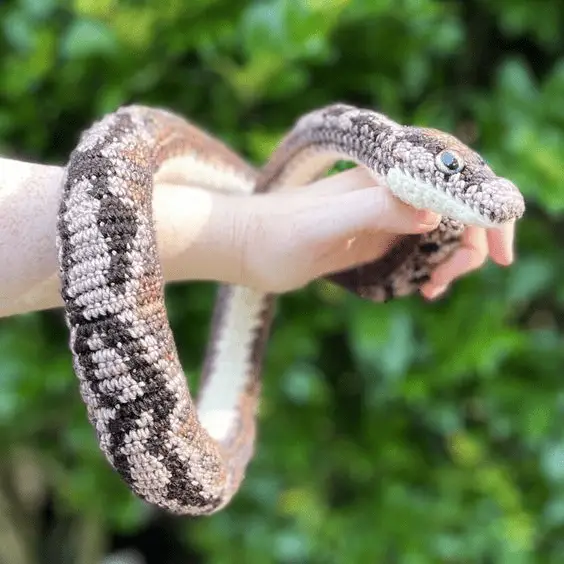 crochet snake poattern