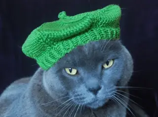 knitting cat hat pattern