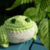 crochet toads
